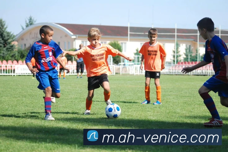 威尼斯人线上娱乐APP 体育赛事宣传图